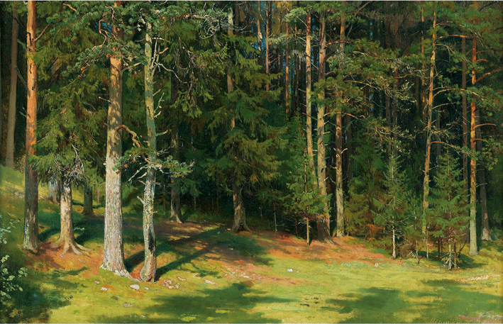  伊凡·伊凡诺维奇·希施金 Ivan I. Shishkin —— Ivan Shishkin-050
